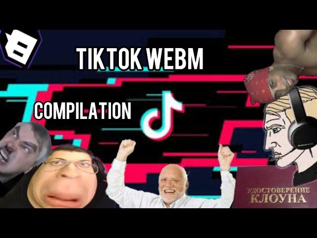 ЛУЧШИЕ МЕМЫ ИЗ ТИКТОК // TIKTOK WEBM COMPILATION 42