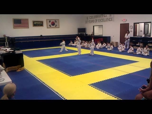 Oliver's Taekwondo Exam - kata