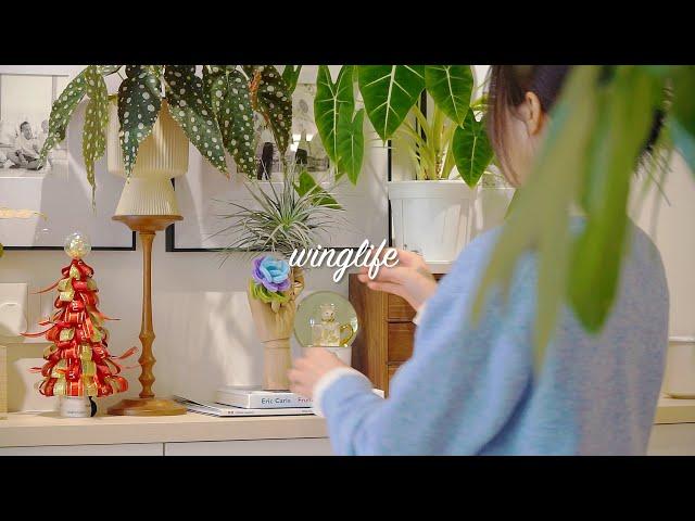 8 beautiful and easy-to-grow plants🪴｜Recommended plants for beginners