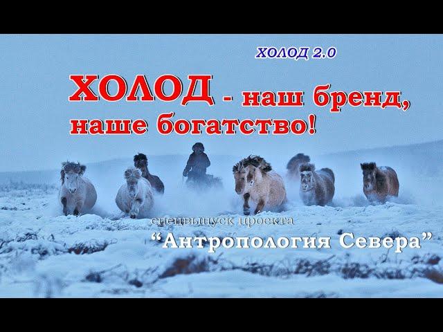 Холод - наш бренд, наше богатство! : Холод 2.0