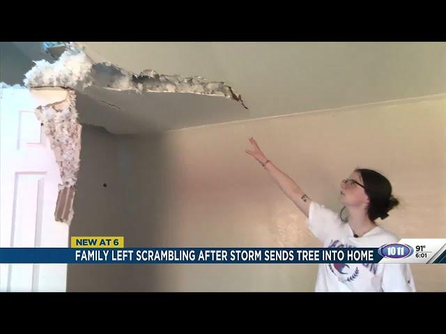 Family left scrambling after storm sends tree into home