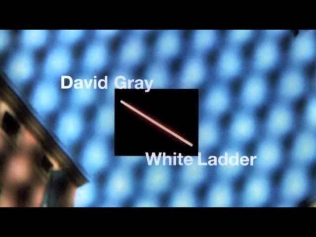 David Gray - Say Hello, Wave Goodbye (Official Audio)