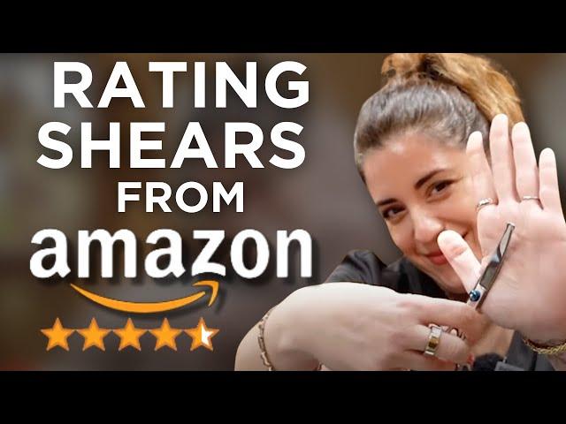 Reviewing Cheap Dog Grooming Shears from Amazon | Jess Rona Grooming