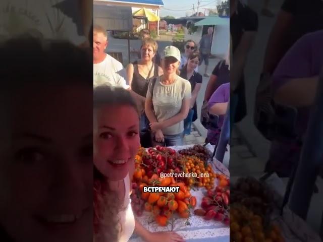 Станичный рынок Кубани! Как проходит сезон торговли  #сад #дача #рынок #торговля  #жизньзагородом
