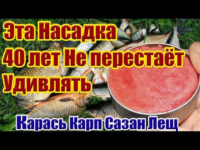 40 лет Не Перестает Удивлять Насадка на Карася Карп Лещ Супер Рыболовная насадка для карася