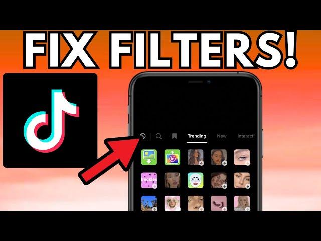 How to Fix TikTok Filters Not Working (2024)