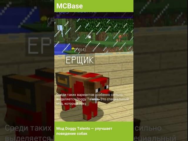 Мод для Minecraft Doggy Talents — улучшает поведение собак | Сводки MCBase