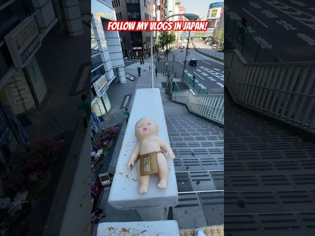 Squishy Baby SPLATS Off Bridge In Japan! #japan #funny #squishy #funnyanimal #funnymonkey #baby