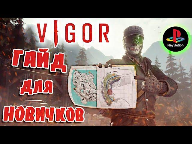 VIGOR Обзор / ВИГОР Глазами Новичка / VIGOR ПС4 Гайд для Новичка