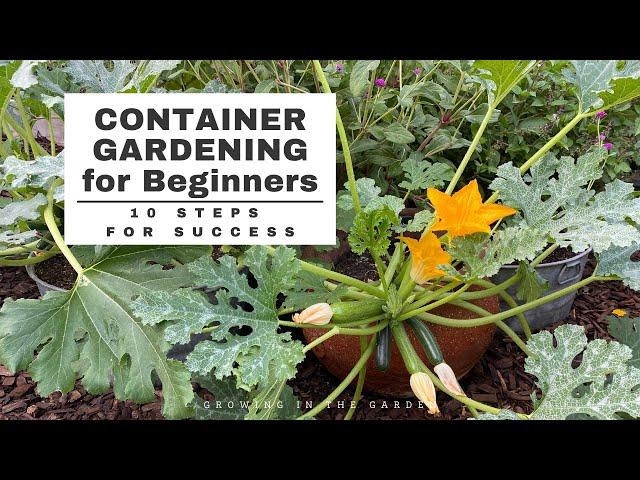 CONTAINER GARDENING for BEGINNERS: 10 Simple Steps