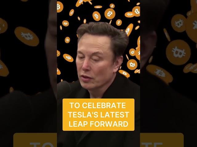 Elon found Satoshi's Tesla Crypto politics  #Crypto #MemeCoin #cryptodrop #doge #elonmusk #btc