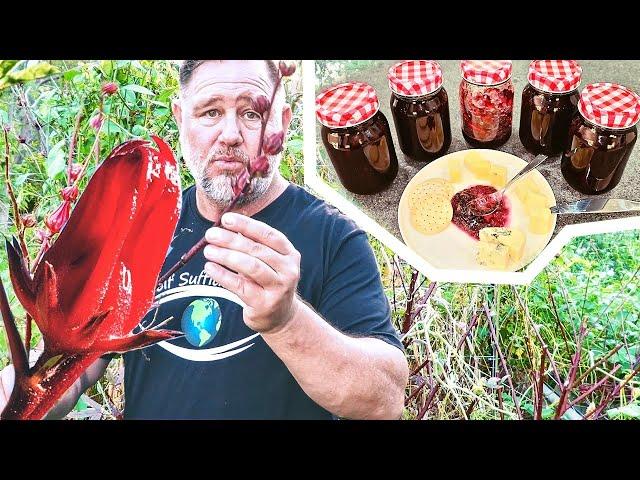 Turning Hibiscus into DELICIOUS Jam! | Rosella Jam Recipe