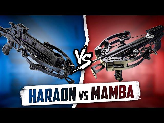 Мини арбалет Mamba vs арбалет Haraon: Какой из них лучше? СРАВНЕНИЕ ТОПОВЫХ АРБАЛЕТОВ 2024