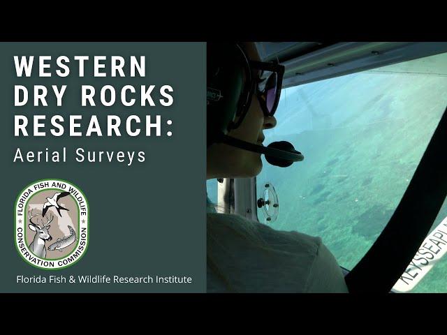 Western Dry Rock Research: Aerial Surveys