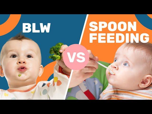 Is Baby-Led Weaning ACTUALLY Better Than Spoon Feeding?