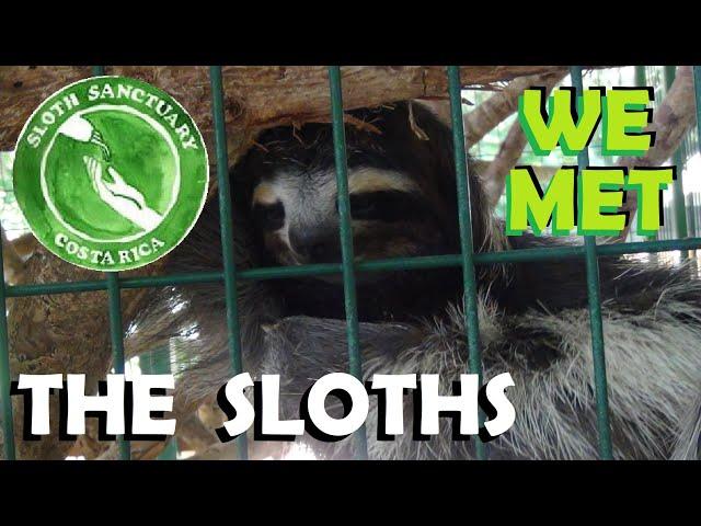 Going South in a Hurry (Pt. 85) - Meeting Sloths at the Sloth Sanctuary of Costa Rica