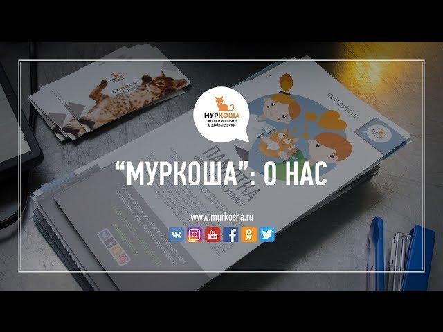 О нас (частный приют для кошек "Муркоша")