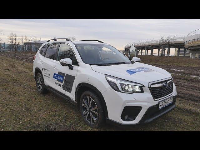 Subaru Forester - Кто не умеет ездить купит Kodiaq