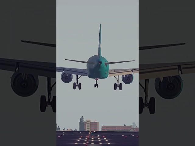 Landing in Airbus A319 | Toliss X-Plane 11 | #shorts