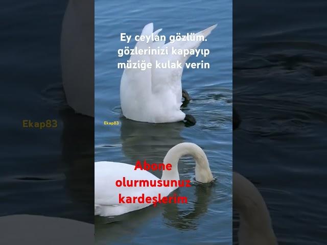 5 Haziran 2025