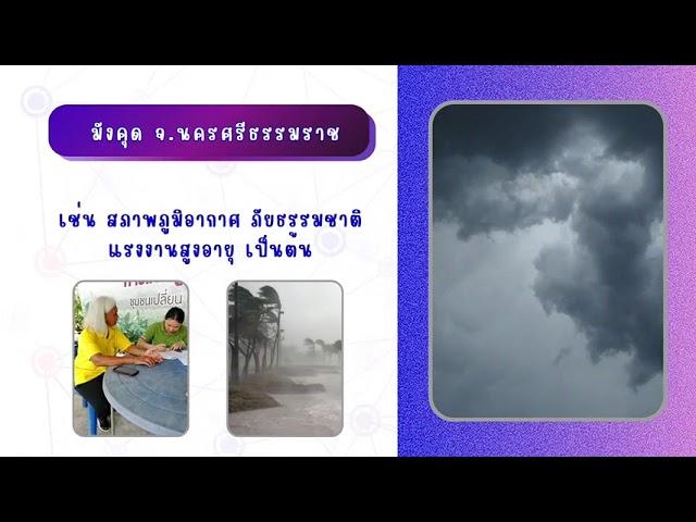 สศท.8 ศึกษาการผลิต การตลาด และแนวทางการพัฒนาศักยภาพมังคุด จ.นครศรีธรรมราช