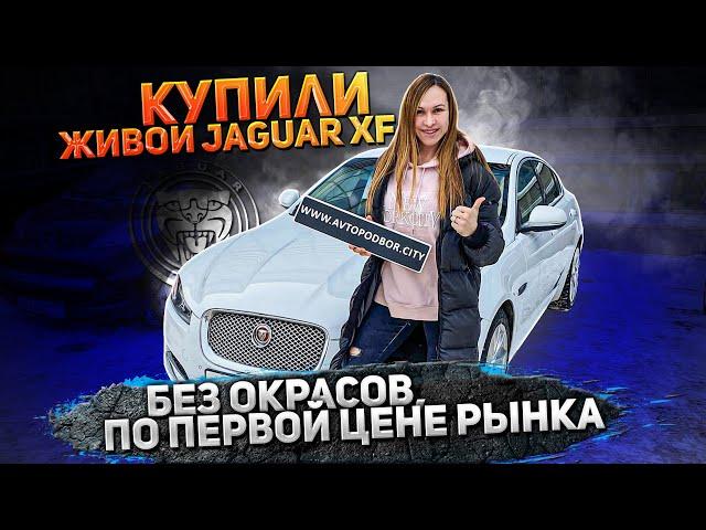 Jaguar XF по низу рынка. Реально ли найти живой?