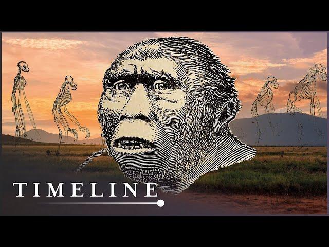 The Discovery Of The Earliest Human Ancestor | First Human | Timeline