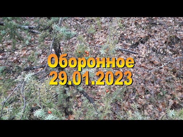 Оборонное 29 01 2023