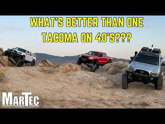 Taking 3 MarTec SAS Tacomas Wheeling!