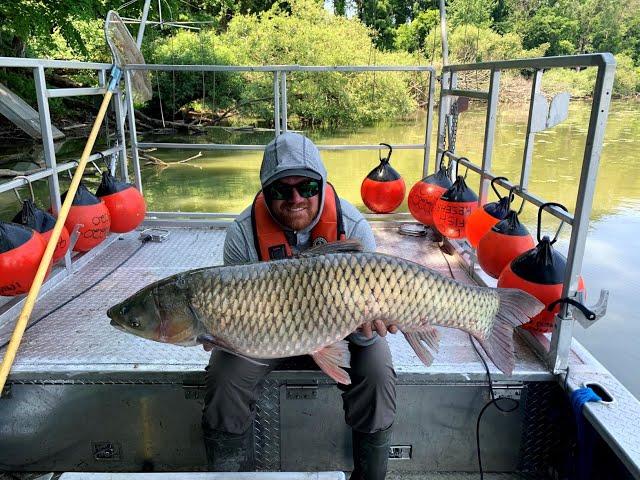 Conservation Conversation: Asian carp with Alex Price