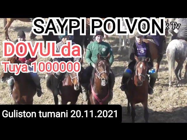 SAYPI POLVON XOSHIM AKANI DOVULIDA TUYA 1MLNGA TASHLADI,#GULISTON TUMANI 20.11.2021