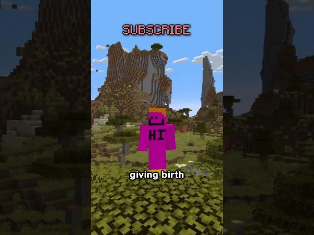 the forgotten and hated minecraft update...