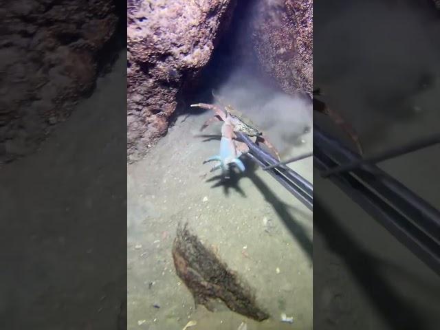 #fishing #ocean #deepsea #nature #beach #fish