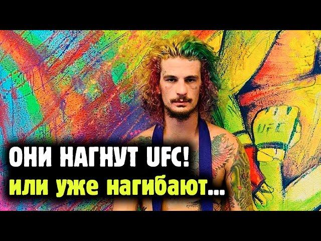 НОВОЕ ПОКОЛЕНИЕ ЗВЕЗД UFC! Обзор лучших типов нового поколения в каждой весовой