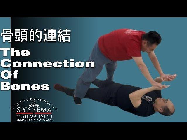 西斯特瑪：骨頭的連結 Systema:The connection of bones