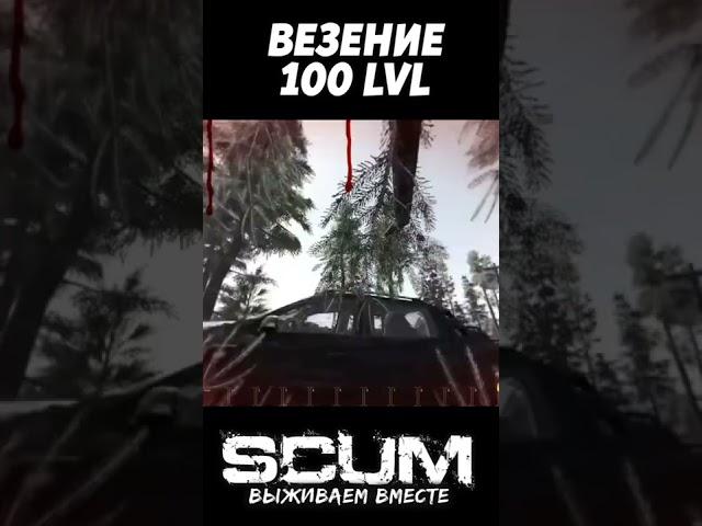 ВЕЗЕНИЕ 100 LVL #scum #pvp #выживание #скам #везение