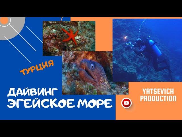 Дайвинг. Эгейское море. Турция