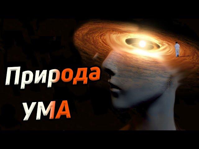 Природа ума / Как возник ум / Ум и вселенское сознание