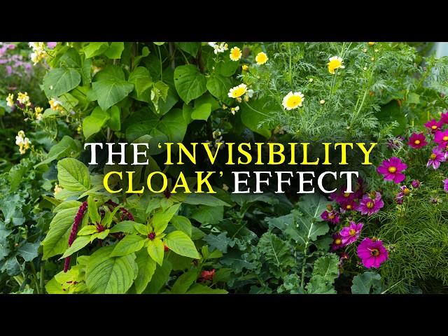 Let’s Talk About Polyculture’s Most Underrated Benefit (It Makes a Big Difference)