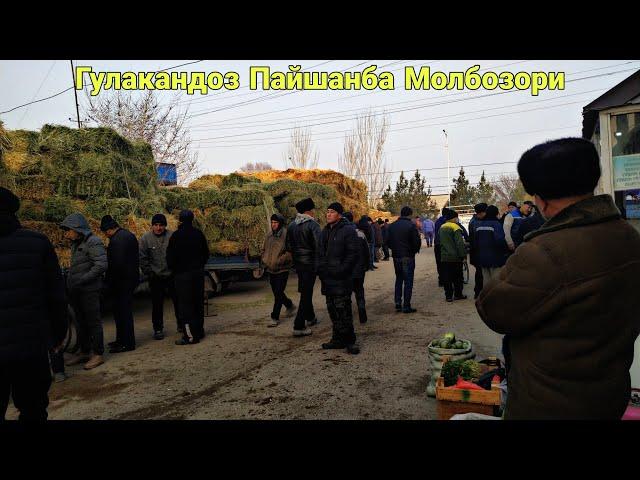 Гулакандоз Пайшанба Молбозори 17.02.2022.