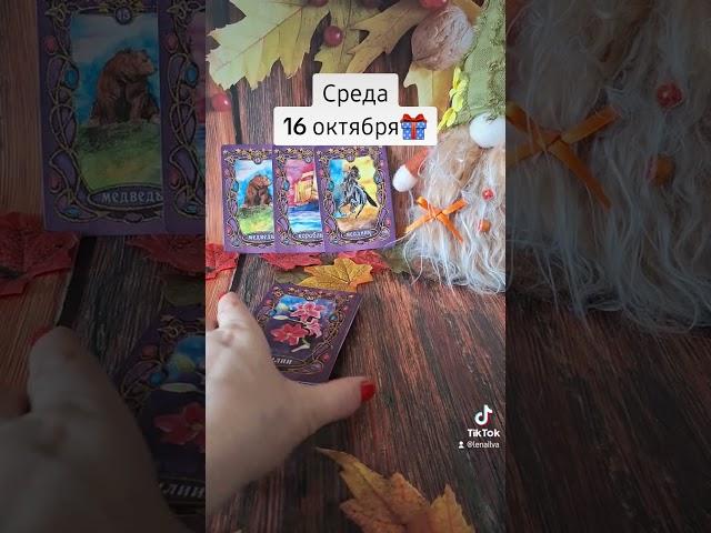 СРЕДА16 октябряКак день пройдет?