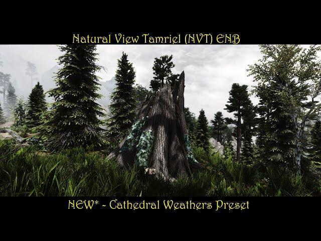 SkyrimSE | NVT ENB - *NEW Cathedral Weathers Preset | Beautifully Natural