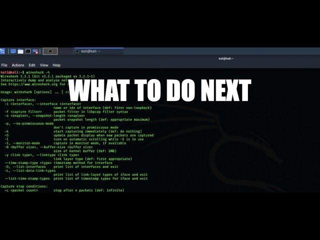 Setting up Kali Linux For Everyday Use / Main Operating System (2021) | Very Easy Coding Tutorial