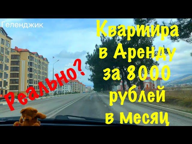 Геленджик. Снять квартиру за 8000 в месяц. Реальные цены на жилье.