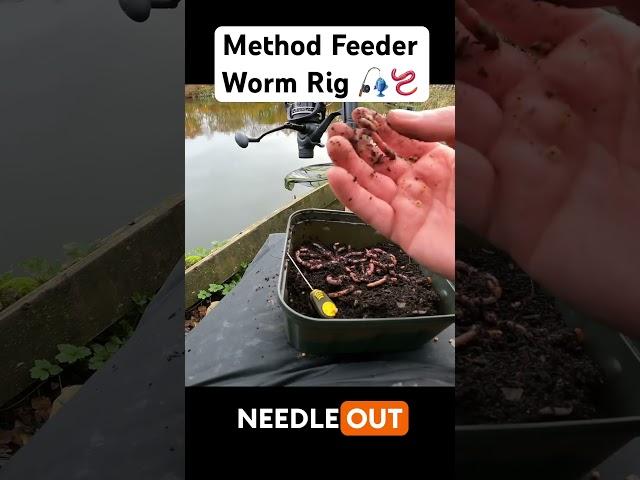 Method Feeder Worm Rig 🪱 #feederfishing #methodfeeder #worms