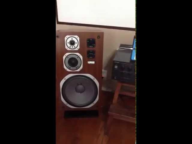 Yamaha NS 690ii and Technics SU-V10X