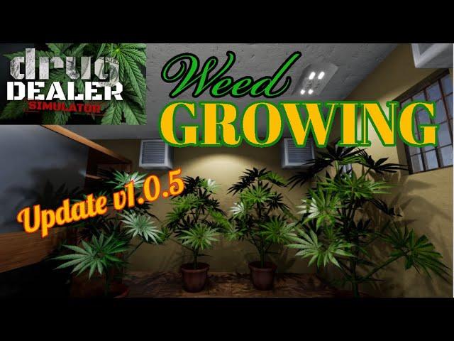 How to Grow Weed Update | Basic Tutorial Guide Walk Through | Drug Dealer Simulator | Tips & Tricks