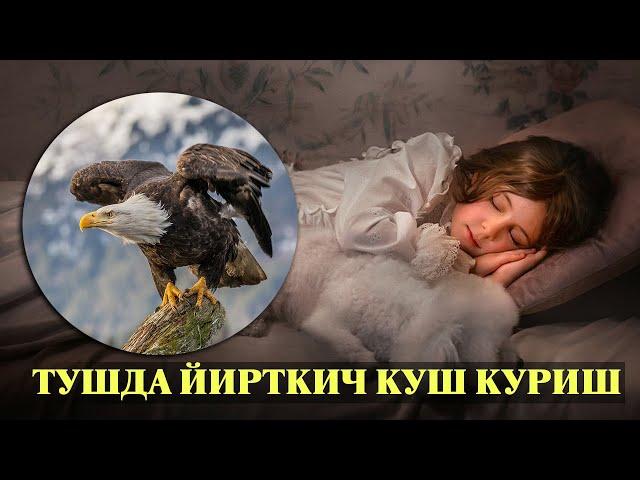 Туш табири - Тушда Йирткич куш куриш