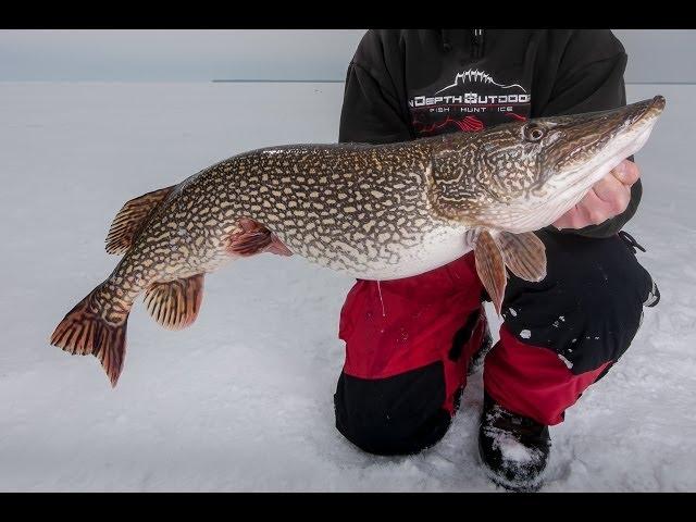 Giant Late Ice Pike on Lake of the Woods - In-Depth Outdoors TV Season 8, Episode 19