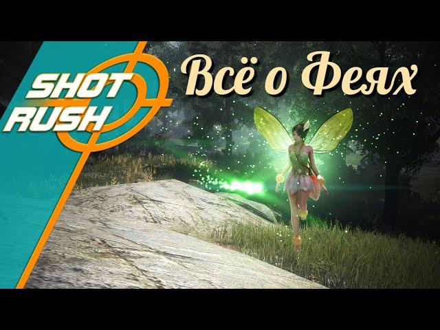 Black Desert / BD: Всё о контенте Фей (Фея - ваш самый лучший спутник)